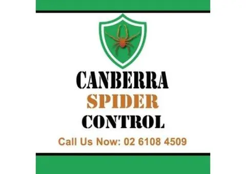 Canberra Spider Control