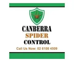 Canberra Spider Control