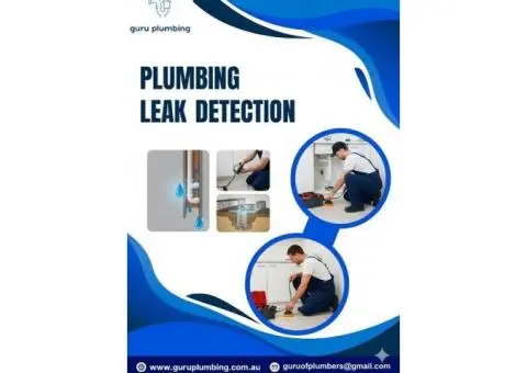 Professional Plumbing Leak Detection Services Near You