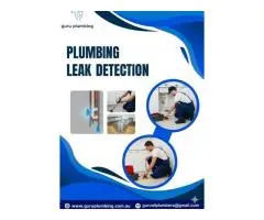 Professional Plumbing Leak Detection Services Near You