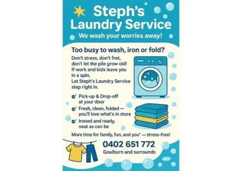 Laundry services, washing, drying ironing $30 per hour