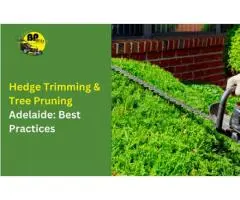Looking for Hedge Trimming Tree Pruning Adelaide