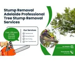 Stump Removal Adelaide Professional Tree Stump Removal Services