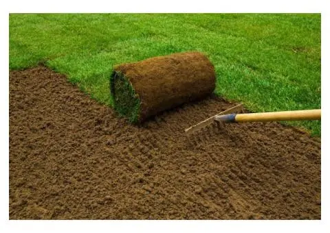 Premium Sir Walter Buffalo Turf for Lush, Low-Maintenance Lawns in Adelaide