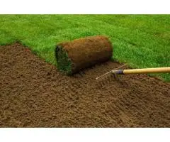 Premium Sir Walter Buffalo Turf for Lush, Low-Maintenance Lawns in Adelaide