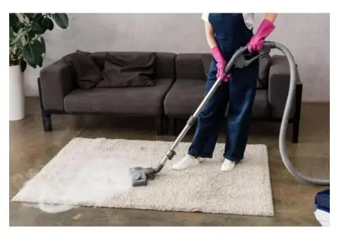 Expert Carpet Cleaning Services in Ormeau
