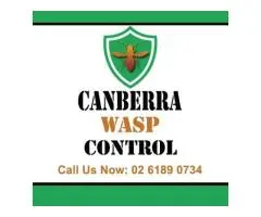 Canberra Wasp Control