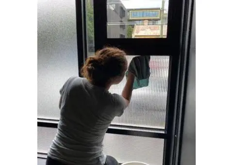 Expert Residential & Commercial Window Cleaning in Southbank