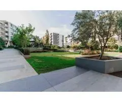 Landscape Construction for Public Spaces: Design, Durability & Safety