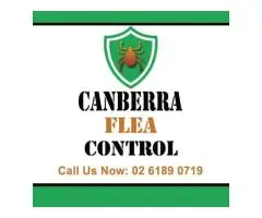 Canberra Flea Control