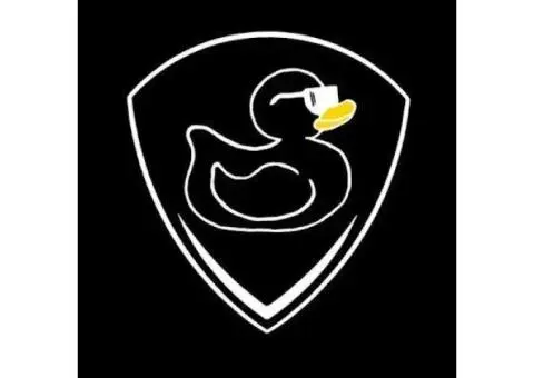 Mobile Car Detailing Sunnybank | Paintless Dent Removal Brisbane – Black Duck Detailing