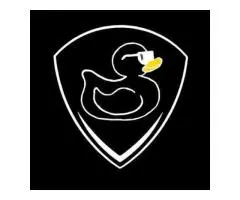 Mobile Car Detailing Sunnybank | Paintless Dent Removal Brisbane – Black Duck Detailing