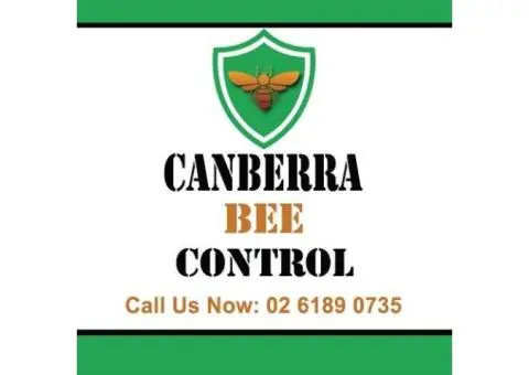 Canberra Bee Control