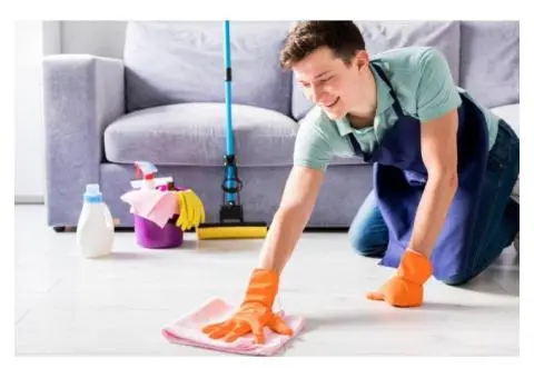 House Washing DIY or Professional?