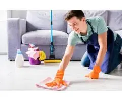 House Washing DIY or Professional?