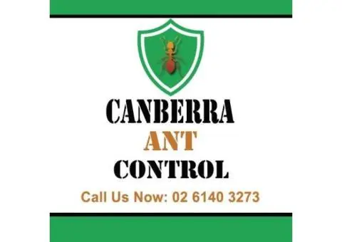 Canberra Ant Control