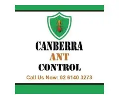 Canberra Ant Control