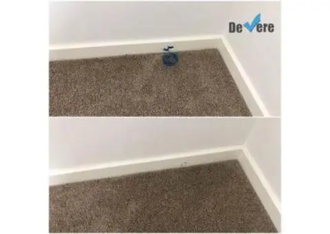 Professional Carpet Repair in North Brisbane – Restore Your Floors with Ease