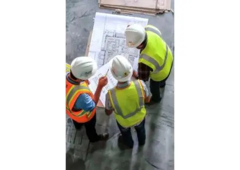 Timber Pest Inspection Report in Melbourne – Protect Your Property with Full Scope