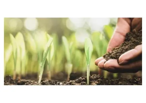 What Is Organic Fertiliser and Why It’s Ideal for Australian Gardens