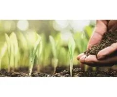 What Is Organic Fertiliser and Why It’s Ideal for Australian Gardens