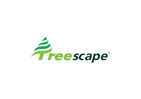 Tree Removal Brisbane
