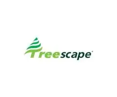 Tree Removal Brisbane