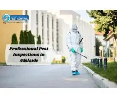 Professional Pest Inspections in Adelaide