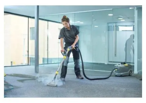 Is Carpet Steam Cleaning Safe for Kids and Pets? - 2/2