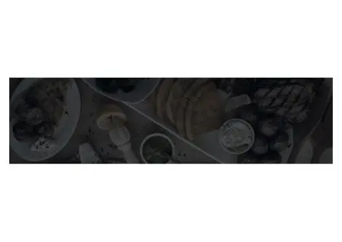 Greek Wedding Catering in Melbourne for Celebrations That Matter