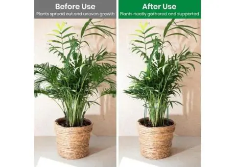 8 Pack Large Plant Support Stakes - 60X30Cm Φ6Mm Strong Metal Garden Plant Suppo - 4/4