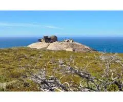 Barossa Valley Wine Tours