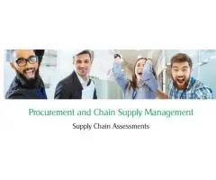 Mastering Supply Chain Risk Management: Strategies and Solutions