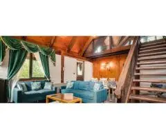 Quiet Accommodation That Feels Natural in the Dandenong Ranges