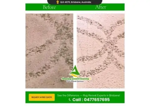 Mattress Cleaning in Logan – Carpet Cleaning Experts Near You