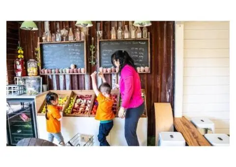 Little Scribblers Kindergarten - 3/4