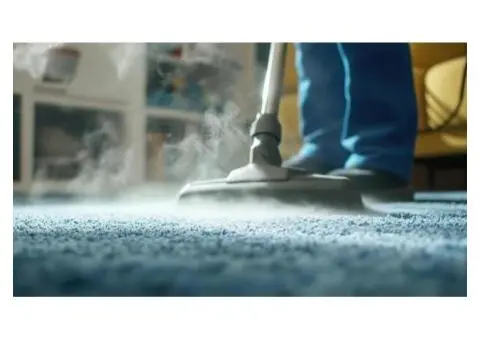 Premier Carpet Cleaning in Sutherland Shire