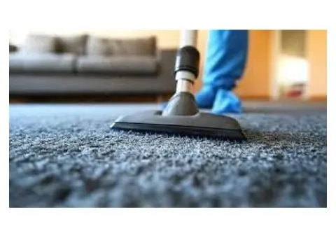 Comprehensive Cleaning Services by Shire Carpet Clean in Sutherland