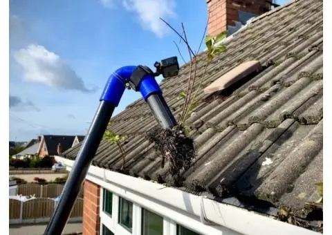 Keep Your Gutters Clear – Pro Gutter Cleaning Sydney Experts