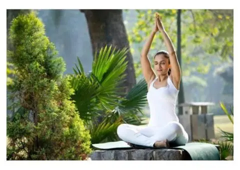 Feel Connected Through Northern Beaches Yoga - 4/4