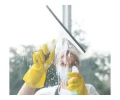 Window Cleaning in Tasmania | Streak-Free Shine