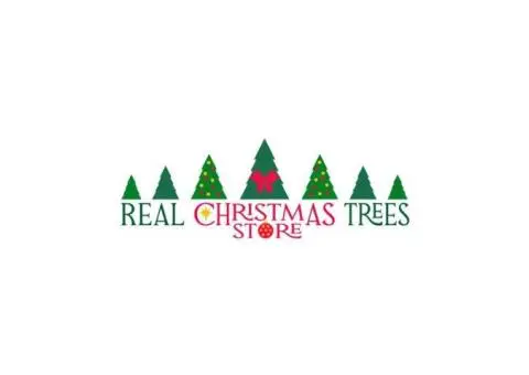 Feel Real Warmth with a Natural Christmas Tree in Australia
