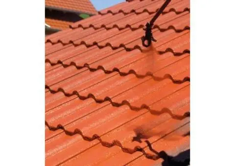 Protect Your Roof with Professional Roof Painters in Melbourne