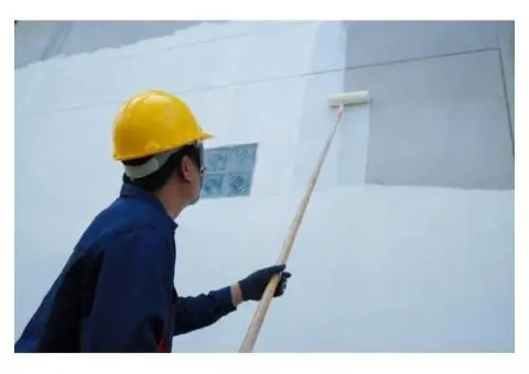 Get Trusted Local Painters Delivering Flawless Finishes