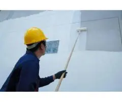 Get Trusted Local Painters Delivering Flawless Finishes