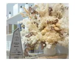 Platelet Rich Plasma Treatment Sydney