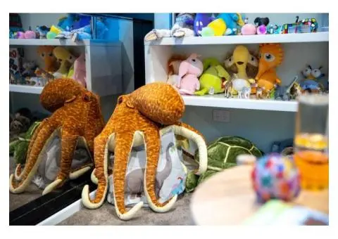 Boutique Psychology Clinic, Psychology Assessments - 8/11