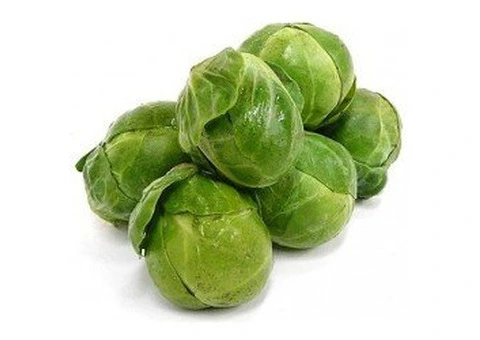 Trust Fresh Fruits and Vegetables Supplier for Quality Supply