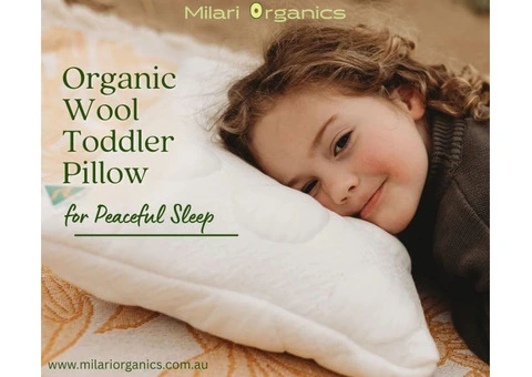 Natural Sleep Comfort with an Organic Wool Toddler Pillow
