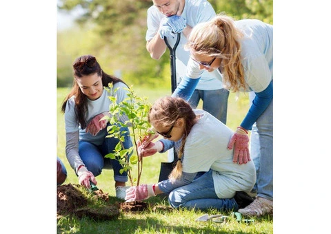 Schedule NDIS Support in Noble Park North Today - 4/5